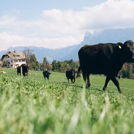 Alpin Farm Linde - Oberweidacherhof Collalbo Exteriér fotografie