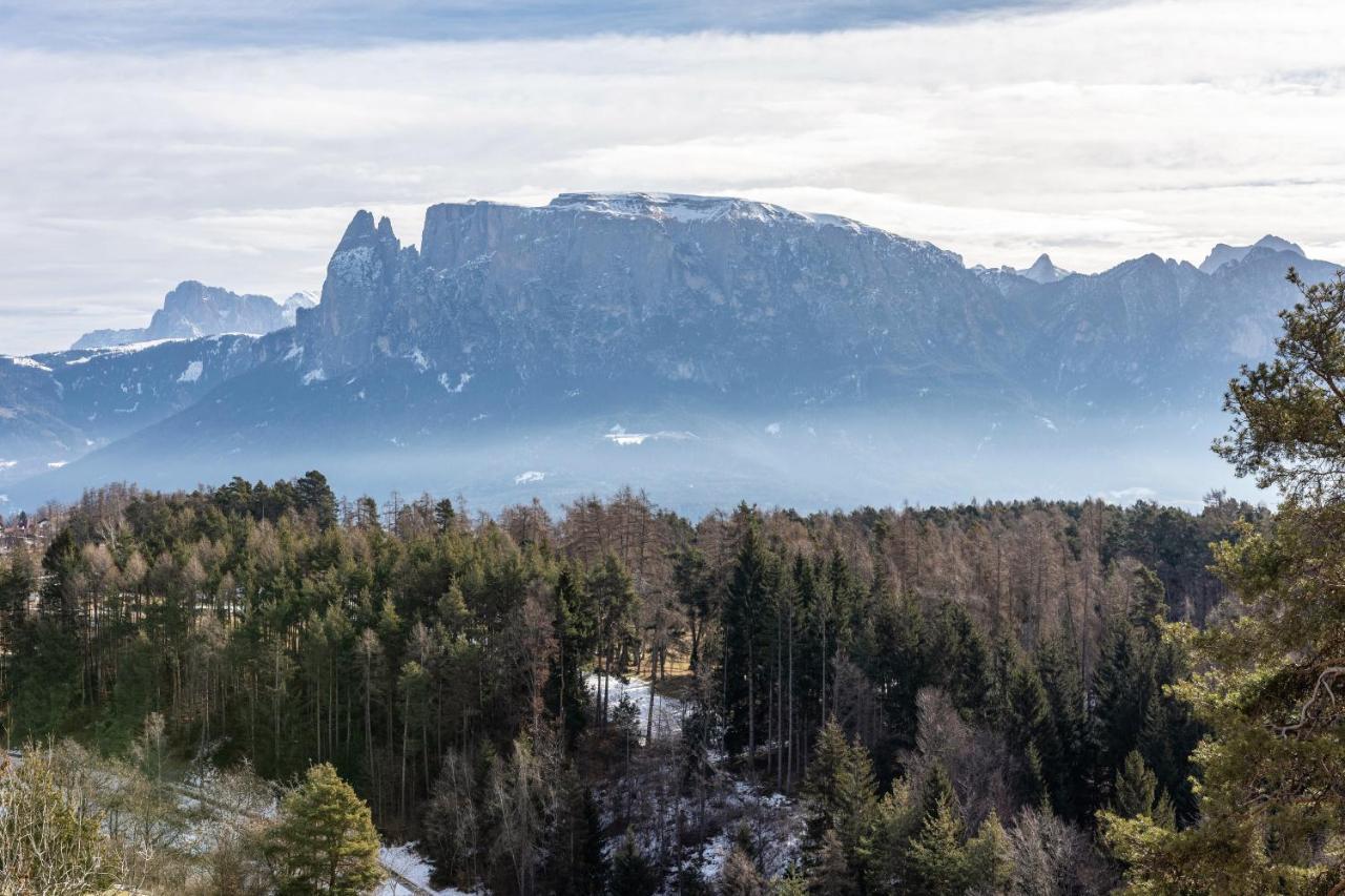 Alpin Farm Linde - Oberweidacherhof Collalbo Exteriér fotografie
